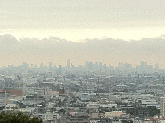 photo:01