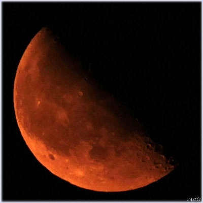 photo:02